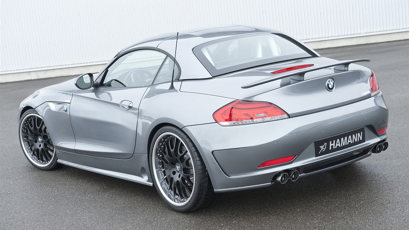 Hamann BMW Z4 E89 - 2010 HD tapetu #9 - 1366x768