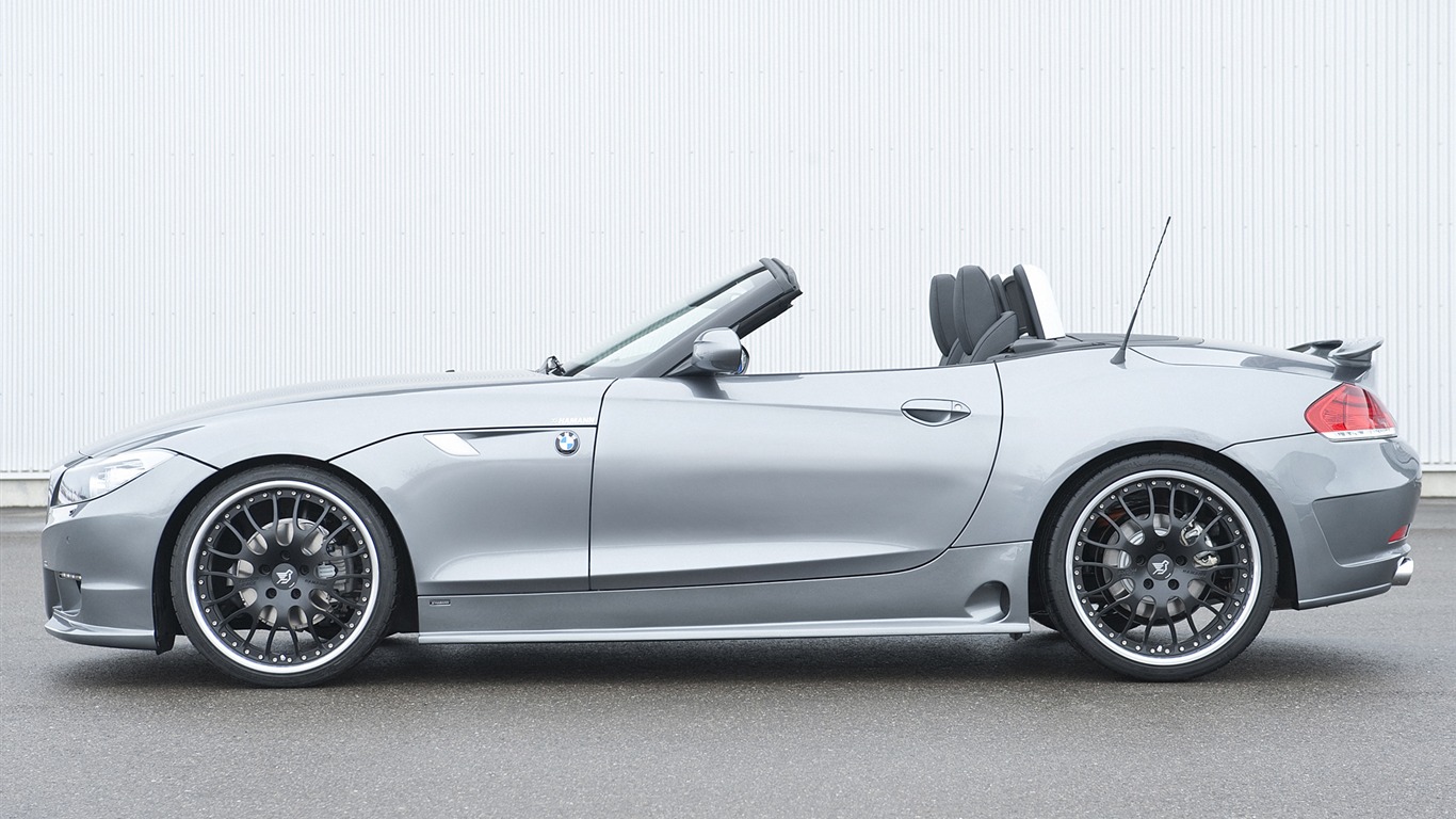 Hamann BMW Z4 E89 - 2010 HD tapetu #11 - 1366x768