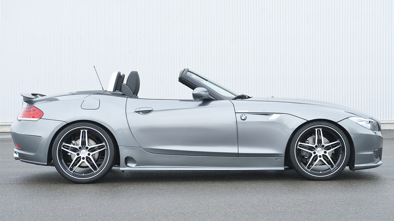 Hamann BMW Z4 E89 - 2010 寶馬 #13 - 1366x768