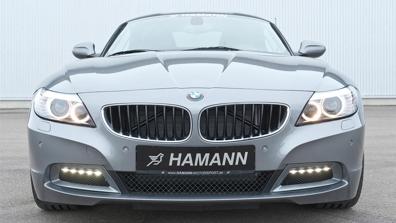 Hamann BMW Z4 E89 - 2010 HD wallpaper #15 - 1366x768