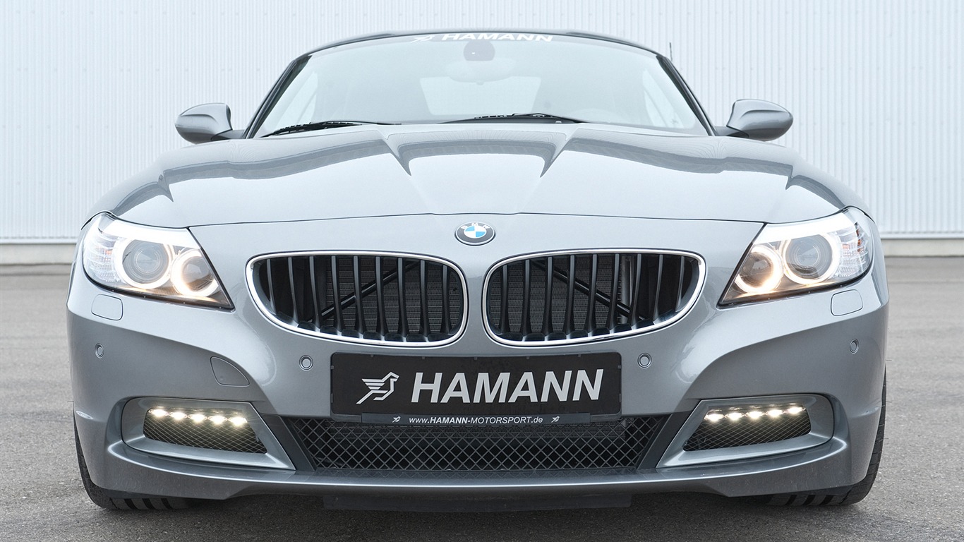 Hamann BMW Z4 E89 - 2010 HD tapetu #15 - 1366x768