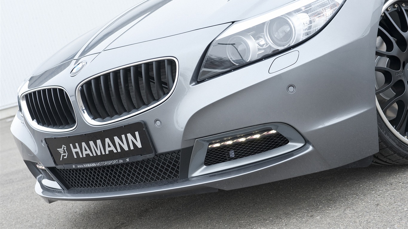 Hamann BMW Z4 E89 - 2010 HD tapetu #16 - 1366x768