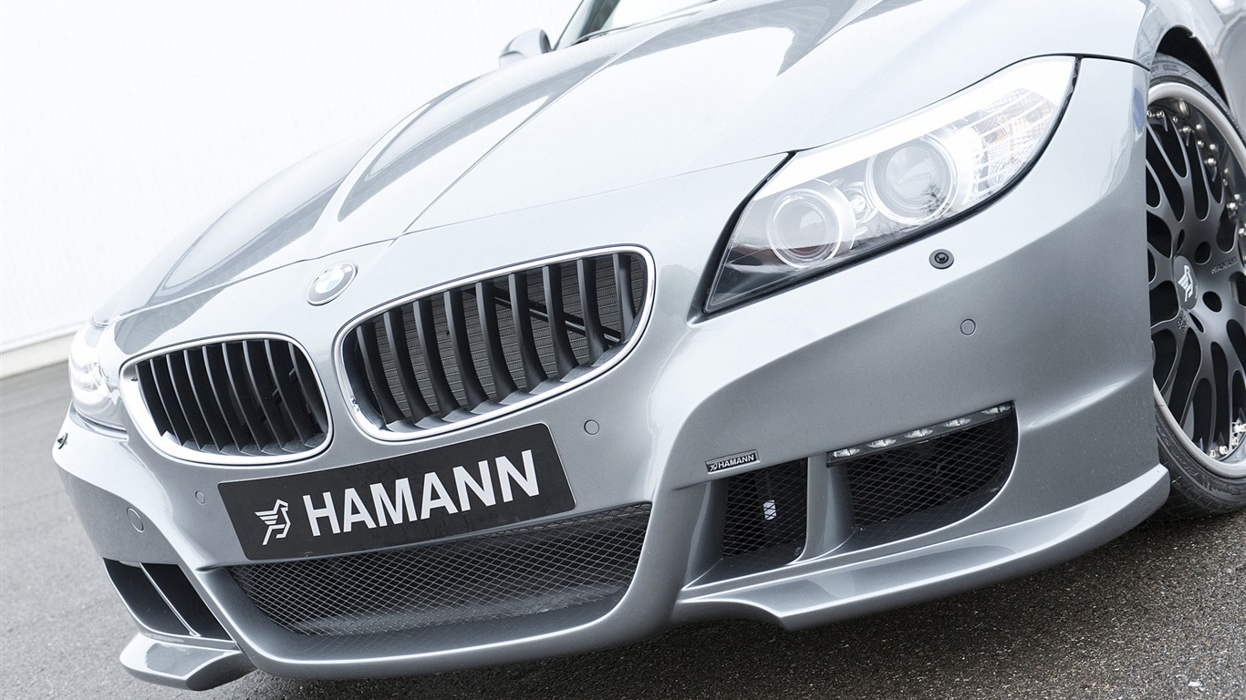 Hamann BMW Z4 E89 - 2010 fondos de escritorio de alta definición #17 - 1366x768