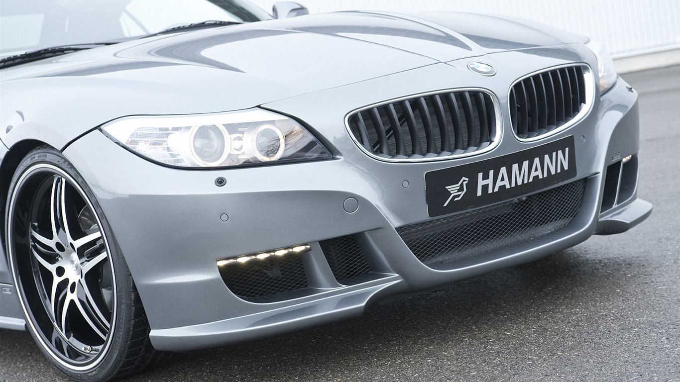 Hamann BMW Z4 E89 - 2010 HD wallpaper #18 - 1366x768