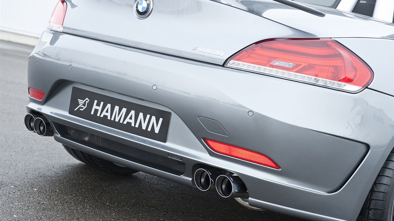 Hamann BMW Z4 E89 - 2010 HD Wallpaper #20 - 1366x768
