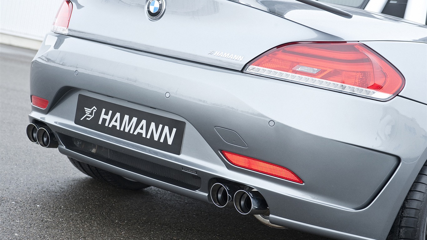 Hamann BMW Z4 E89 - 2010 HD wallpaper #20 - 1366x768