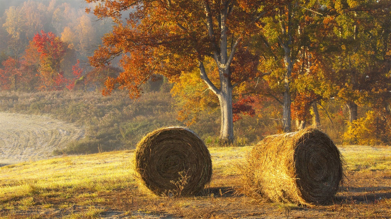 Tapety Krajina Kolekce (52) #2 - 1366x768