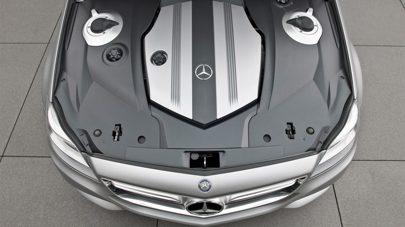 Mercedes-Benz Concept Shooting Break - 2010 奔馳 #21 - 1366x768