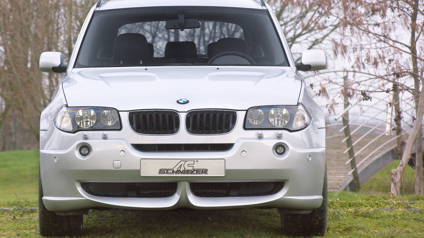 AC Schnitzer BMW X3 E83 宝马1 - 1366x768