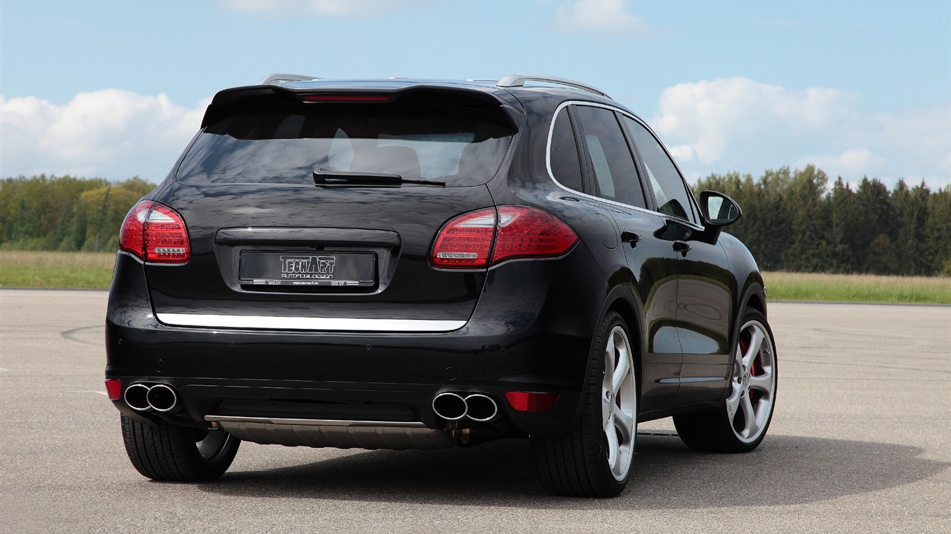 TechArt Porsche Cayenne Individualization - 2010 保時捷 #10 - 1366x768