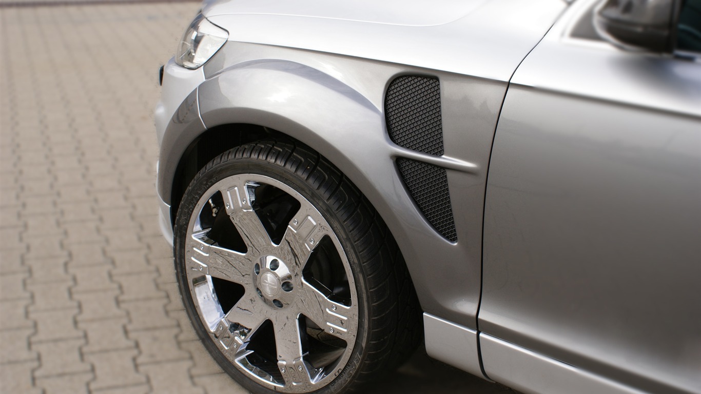Hofele Audi Q7 HD tapetu #14 - 1366x768