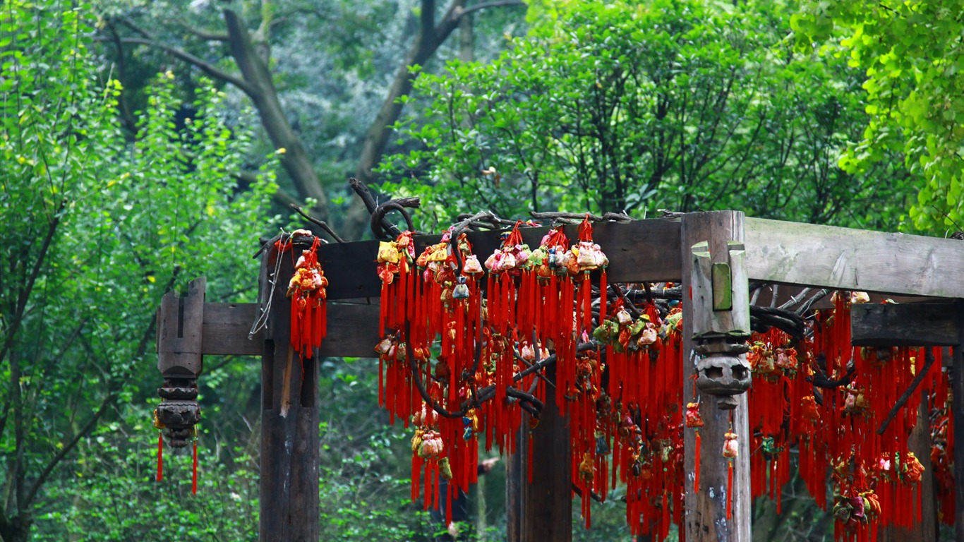 成都印象 壁纸(一)17 - 1366x768