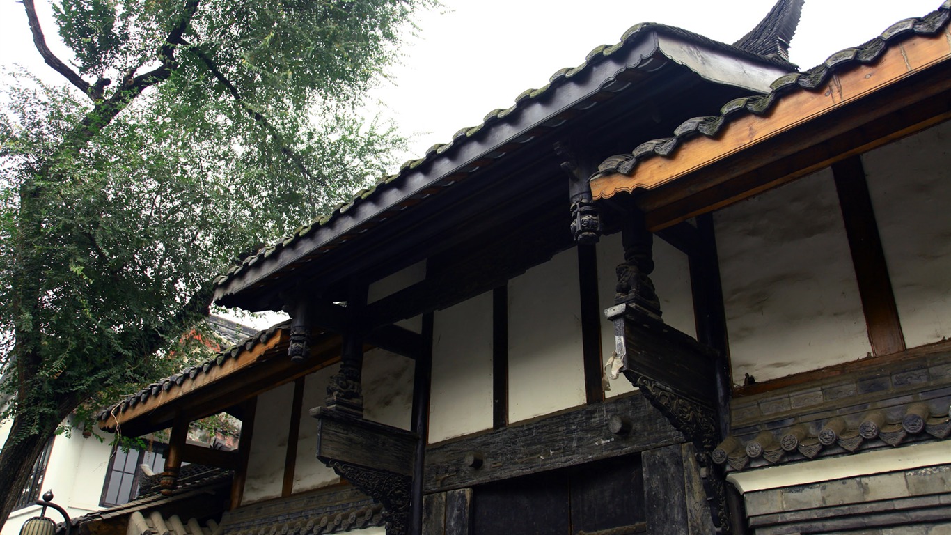 成都印象 壁紙(三) #13 - 1366x768