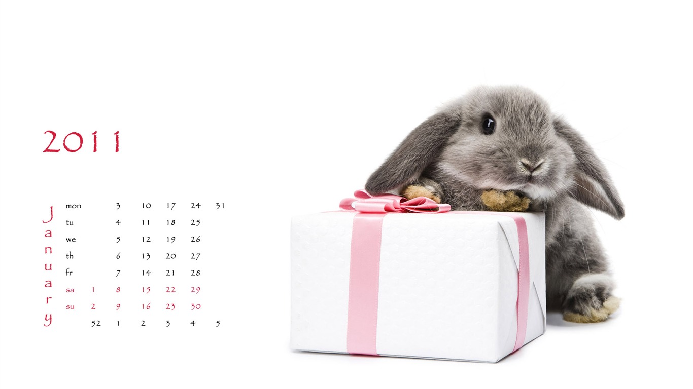 Year of the Rabbit 2011 calendar wallpaper (1) #2 - 1366x768