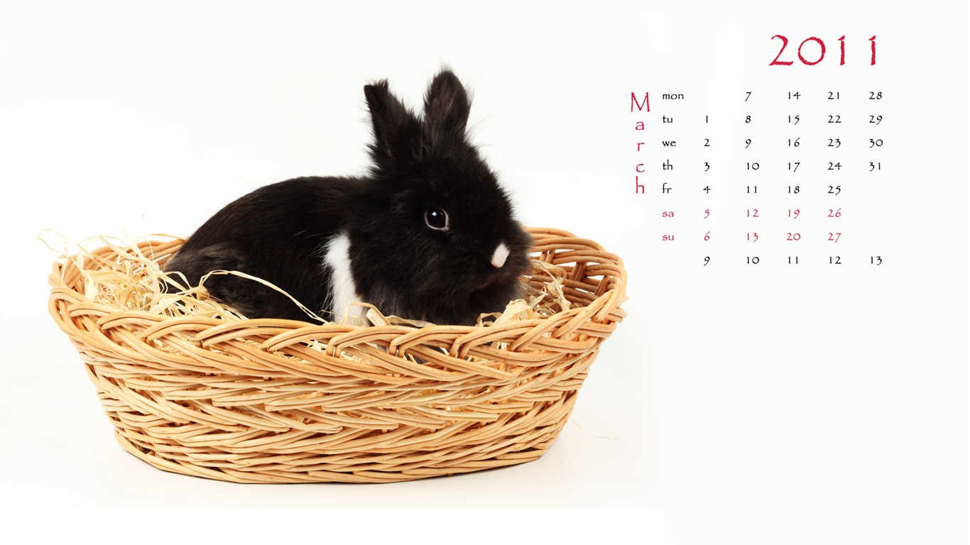 Year of the Rabbit 2011 calendar wallpaper (1) #3 - 1366x768