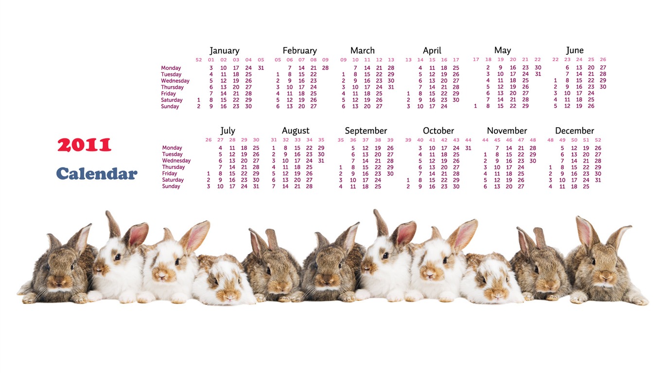 2011兔年日曆 壁紙(一) #15 - 1366x768