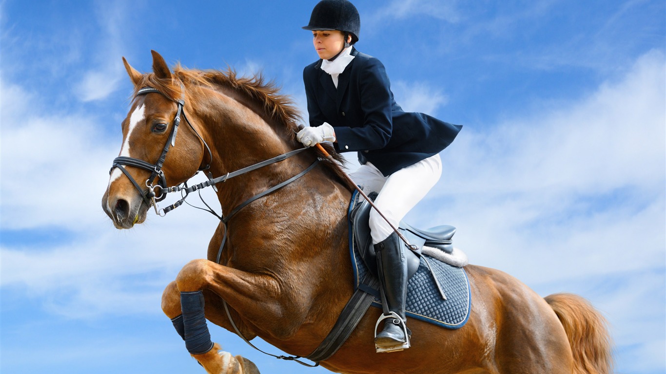 Super horse photo wallpaper (1) #4 - 1366x768