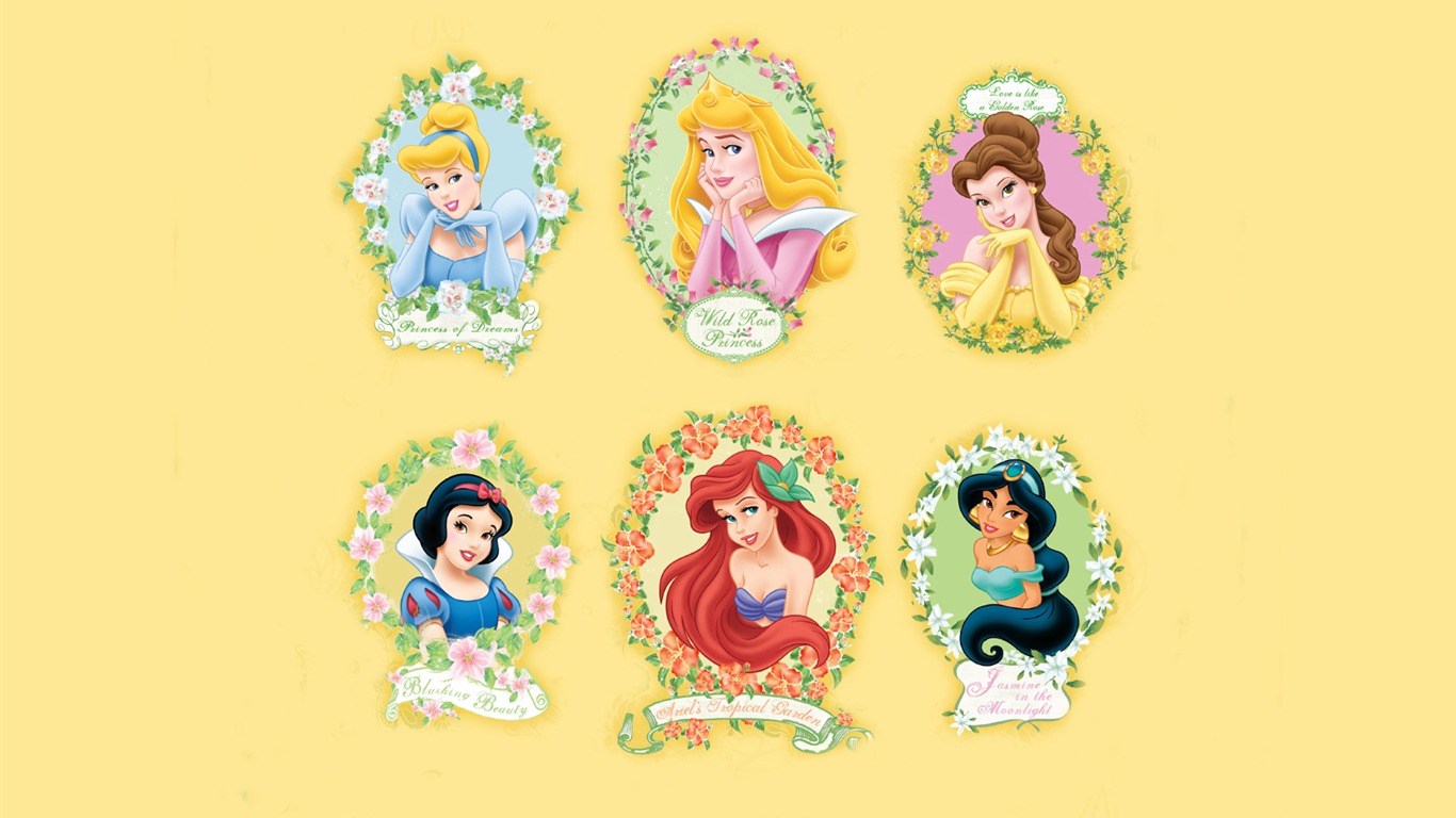 Princess Disney cartoon wallpaper (4) #17 - 1366x768