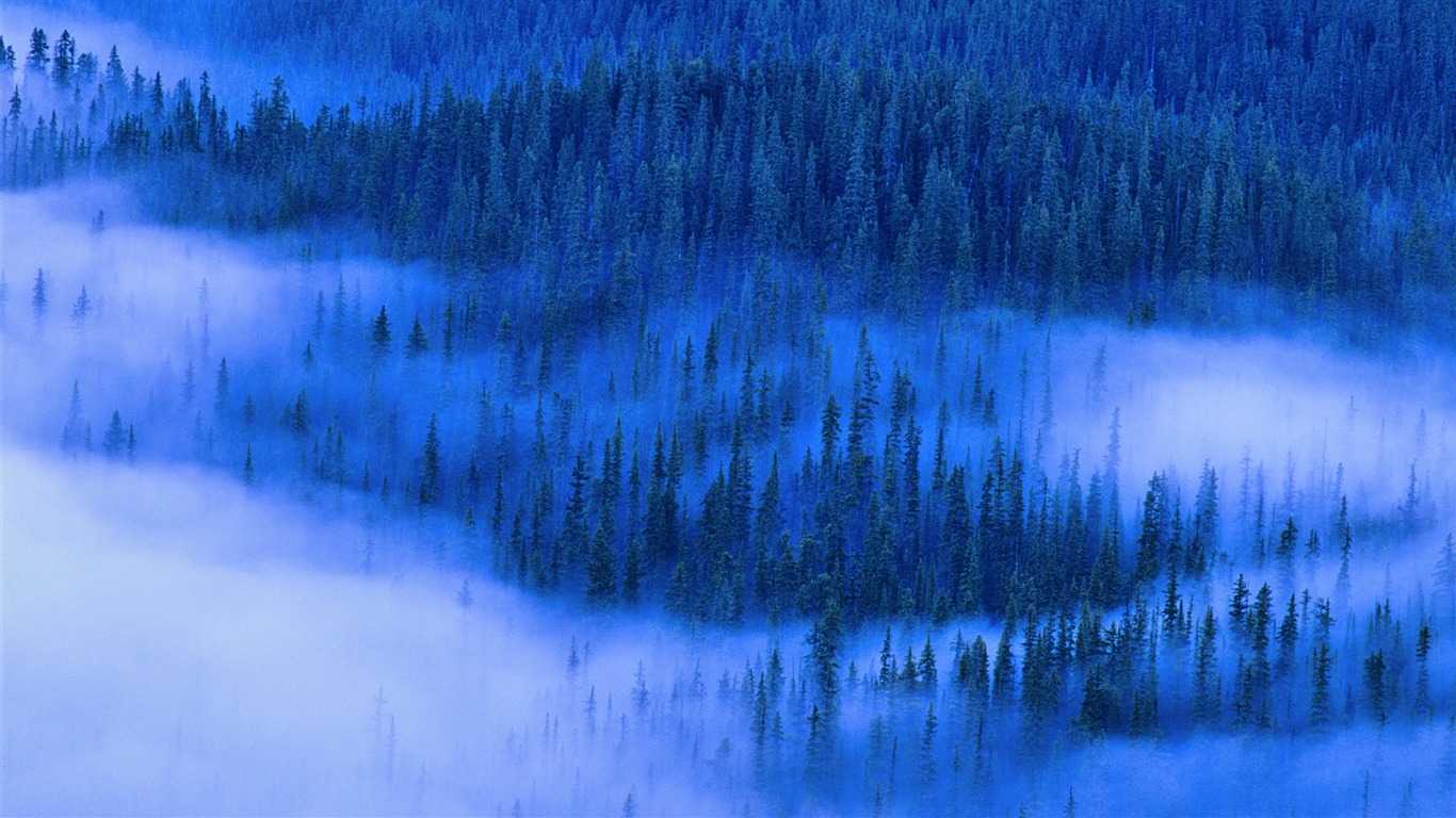 風光合集壁紙(57) #6 - 1366x768