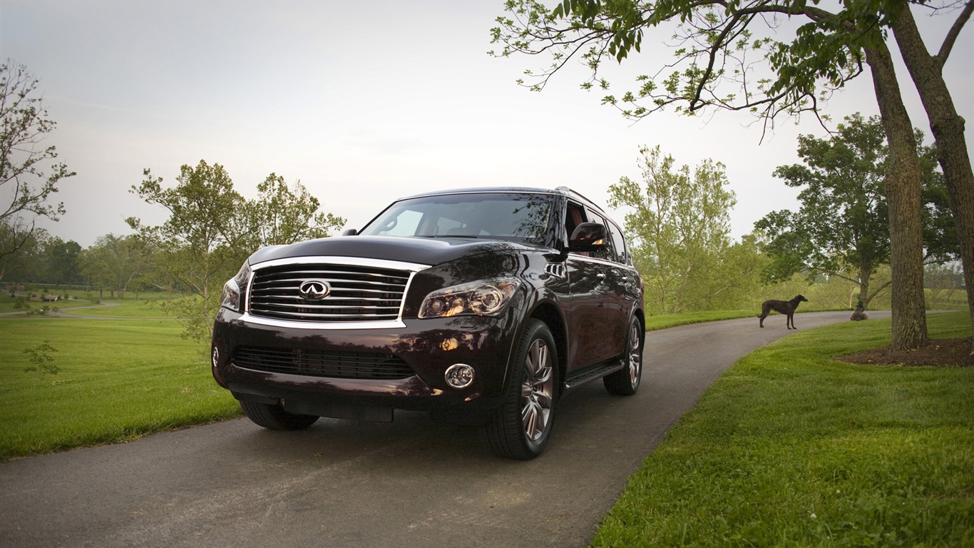 Infiniti QX56 - 2011 英菲尼迪 #1 - 1366x768