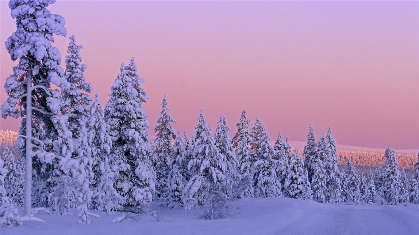 寬屏雪景 壁紙(四) #2 - 1366x768