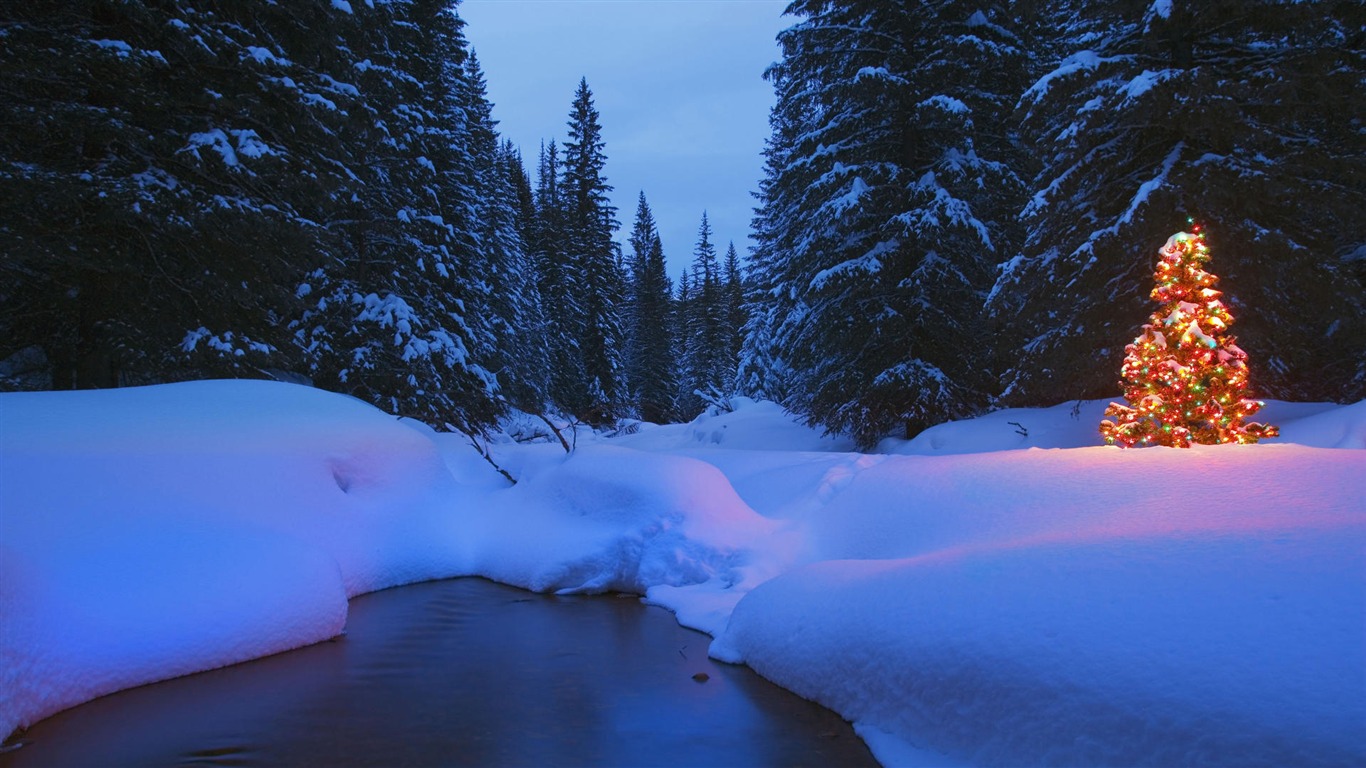 寬屏雪景 壁紙(四) #12 - 1366x768
