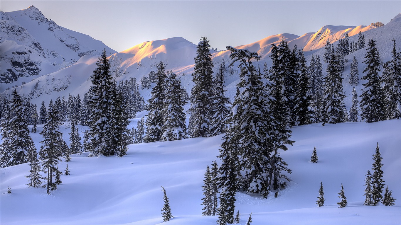 Snow widescreen wallpaper (4) #14 - 1366x768