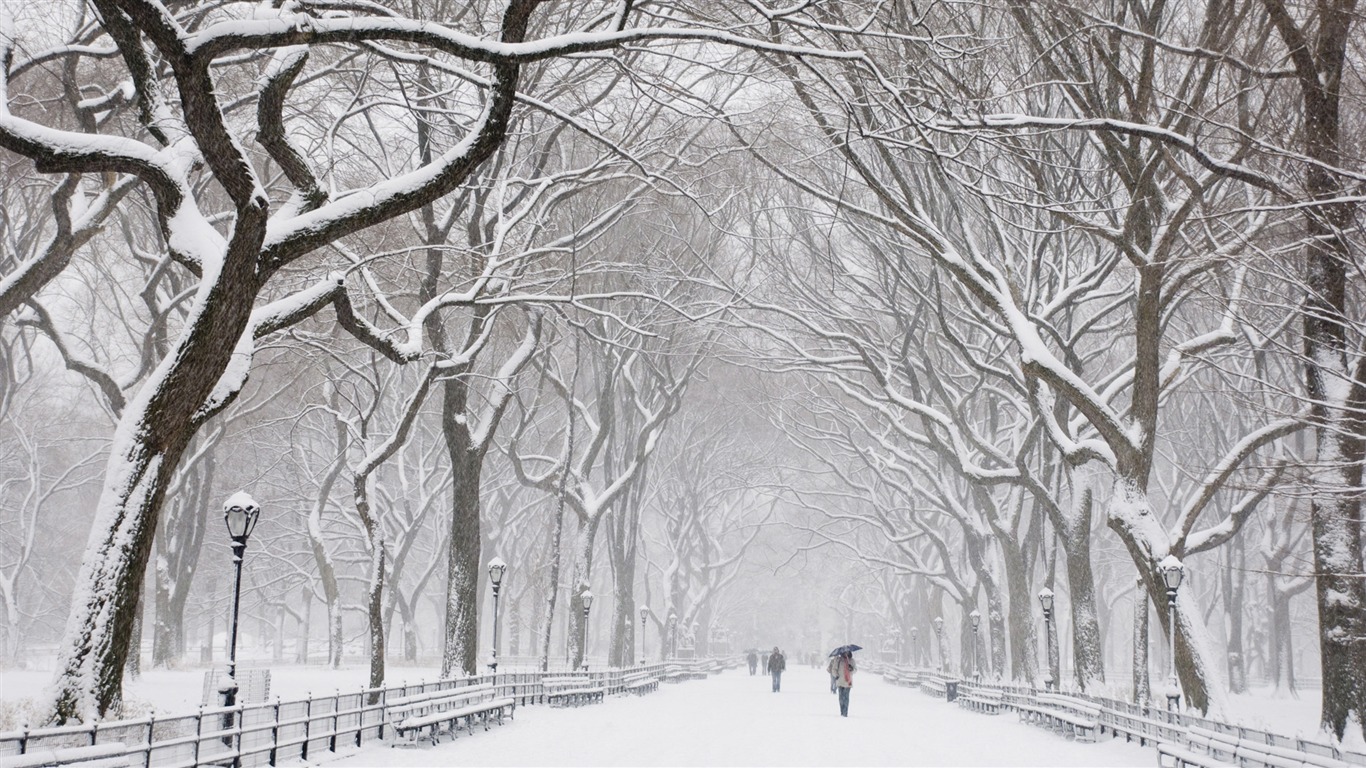 寬屏雪景 壁紙(四) #19 - 1366x768