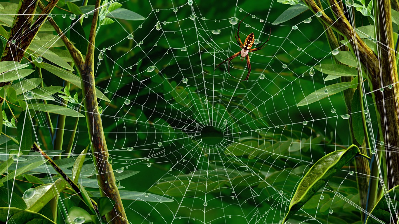 手繪炫彩生態風光 壁紙(三) #2 - 1366x768