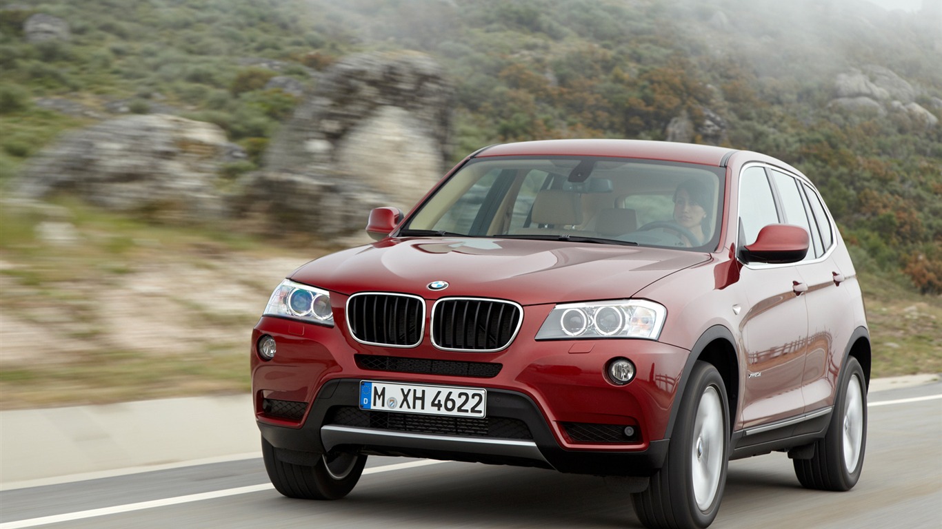 BMW X3 xDrive20d - 2010 (1) #34 - 1366x768