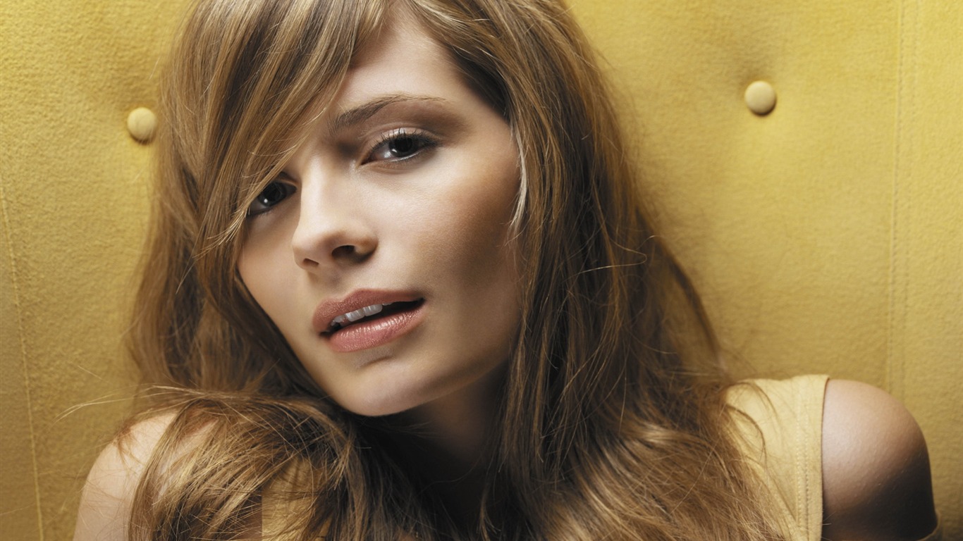 Mischa Barton krásnou tapetu (2) #18 - 1366x768