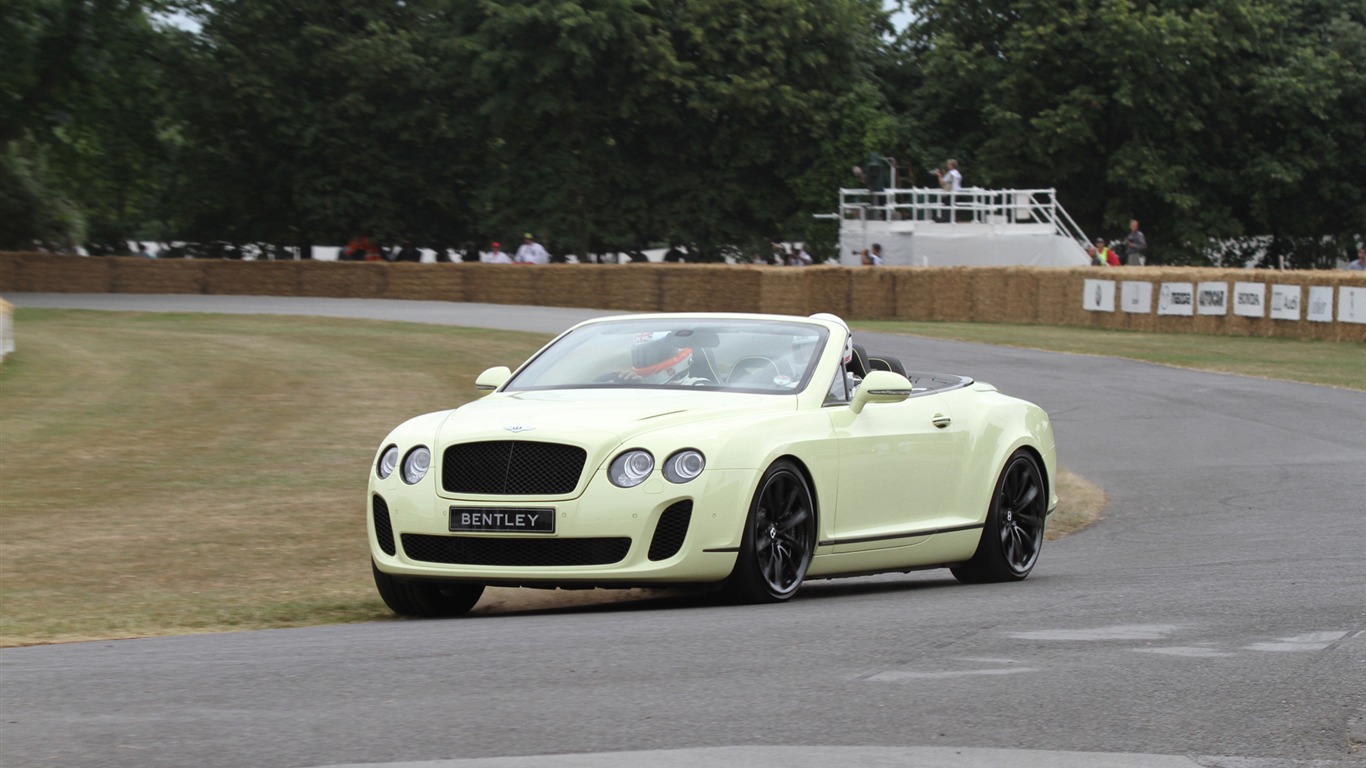 Bentley Continental Supersports Convertible - 2010 宾利20 - 1366x768