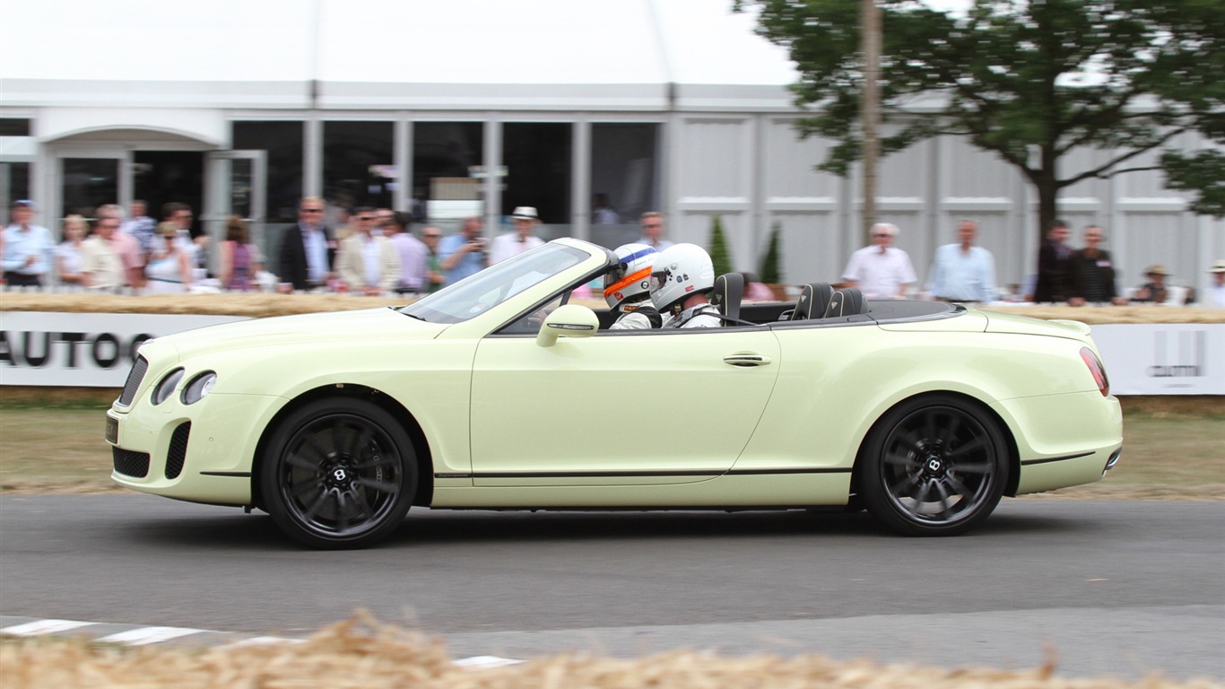 Bentley Continental Supersports Convertible - 2010 賓利 #21 - 1366x768