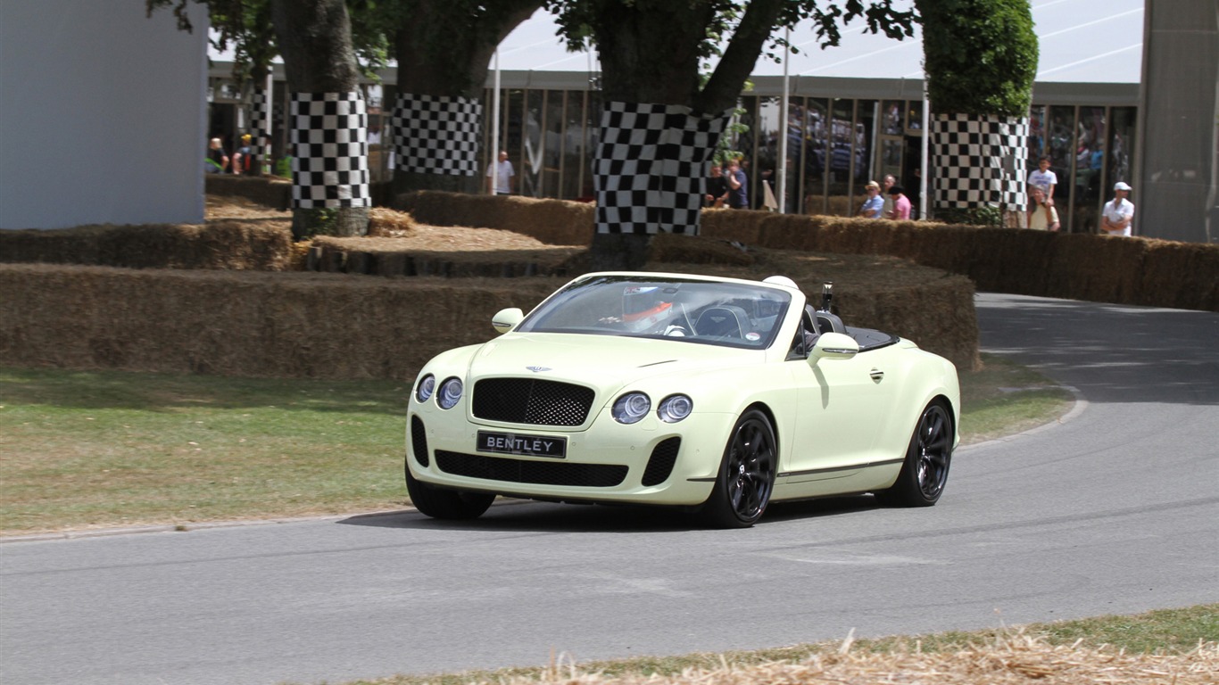 Bentley Continental Supersports Convertible - 2010 賓利 #22 - 1366x768