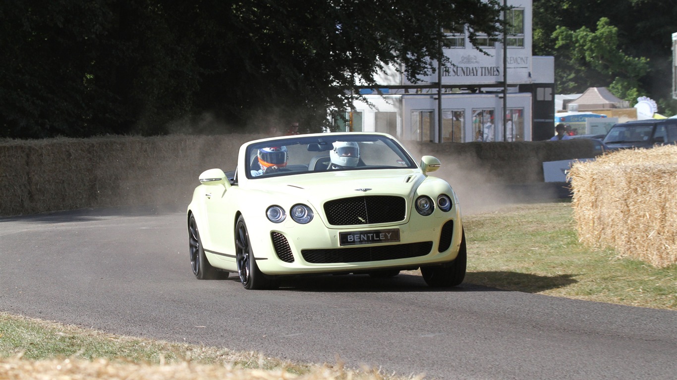 Bentley Continental Supersports Convertible - 2010 HD wallpaper #23 - 1366x768