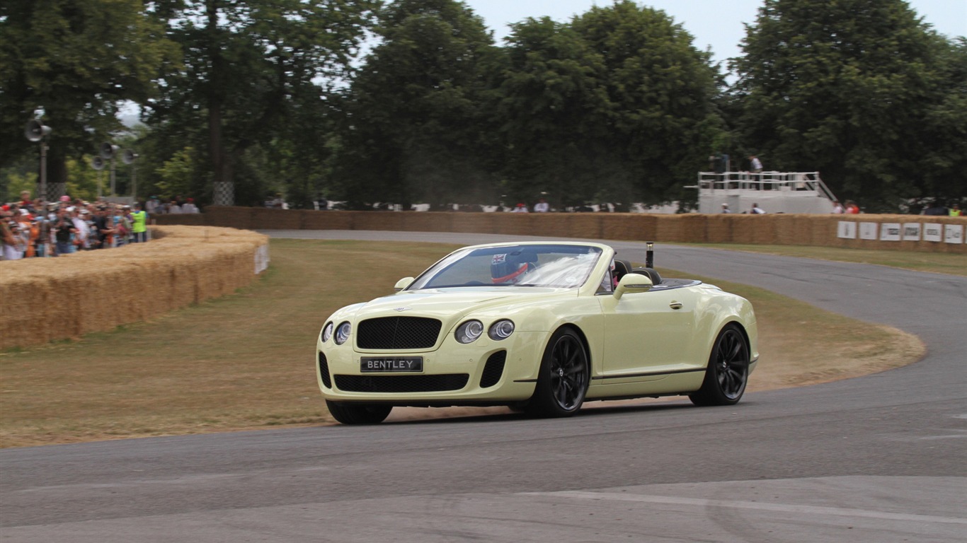 Bentley Continental Supersports Convertible - 2010 賓利 #26 - 1366x768