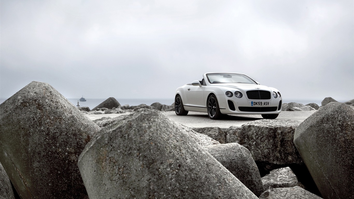Bentley Continental Supersports Convertible - 2010 賓利 #34 - 1366x768