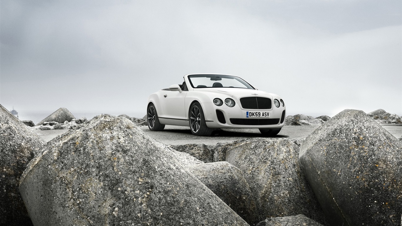 Bentley Continental Supersports Convertible - 2010 賓利 #36 - 1366x768