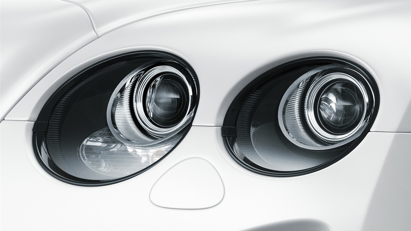 Bentley Continental Supersports Convertible - 2010 賓利 #58 - 1366x768