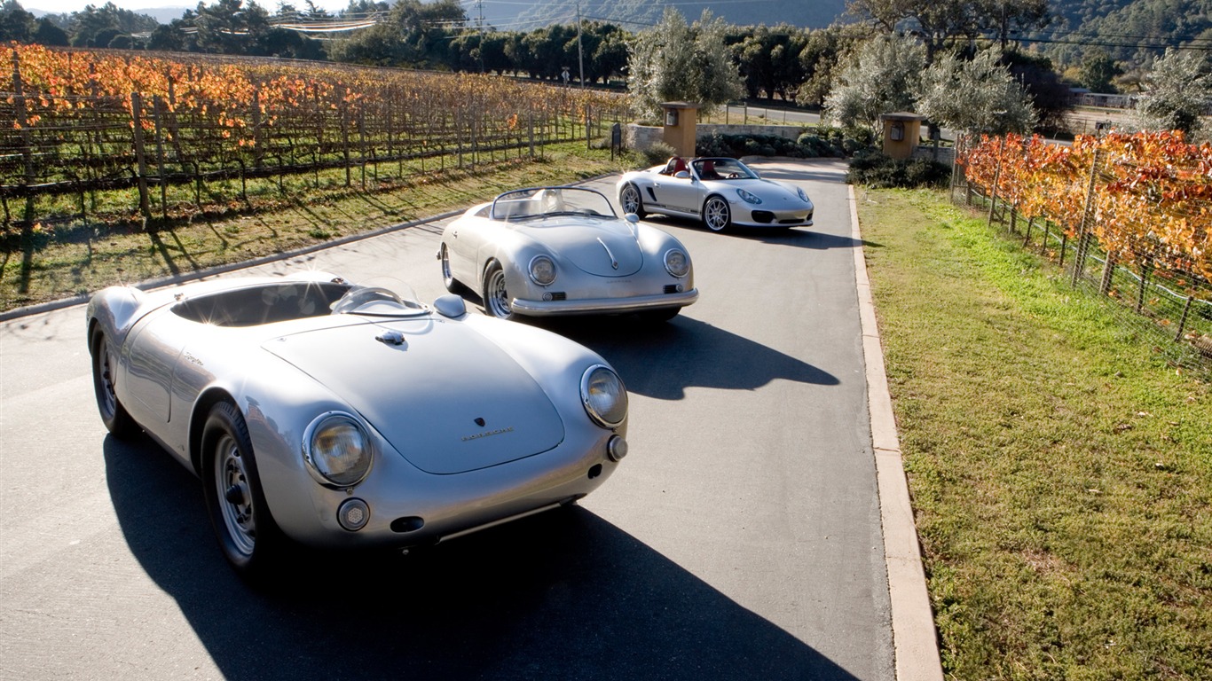 Porsche Boxster Spyder - 2010 保時捷 #53 - 1366x768