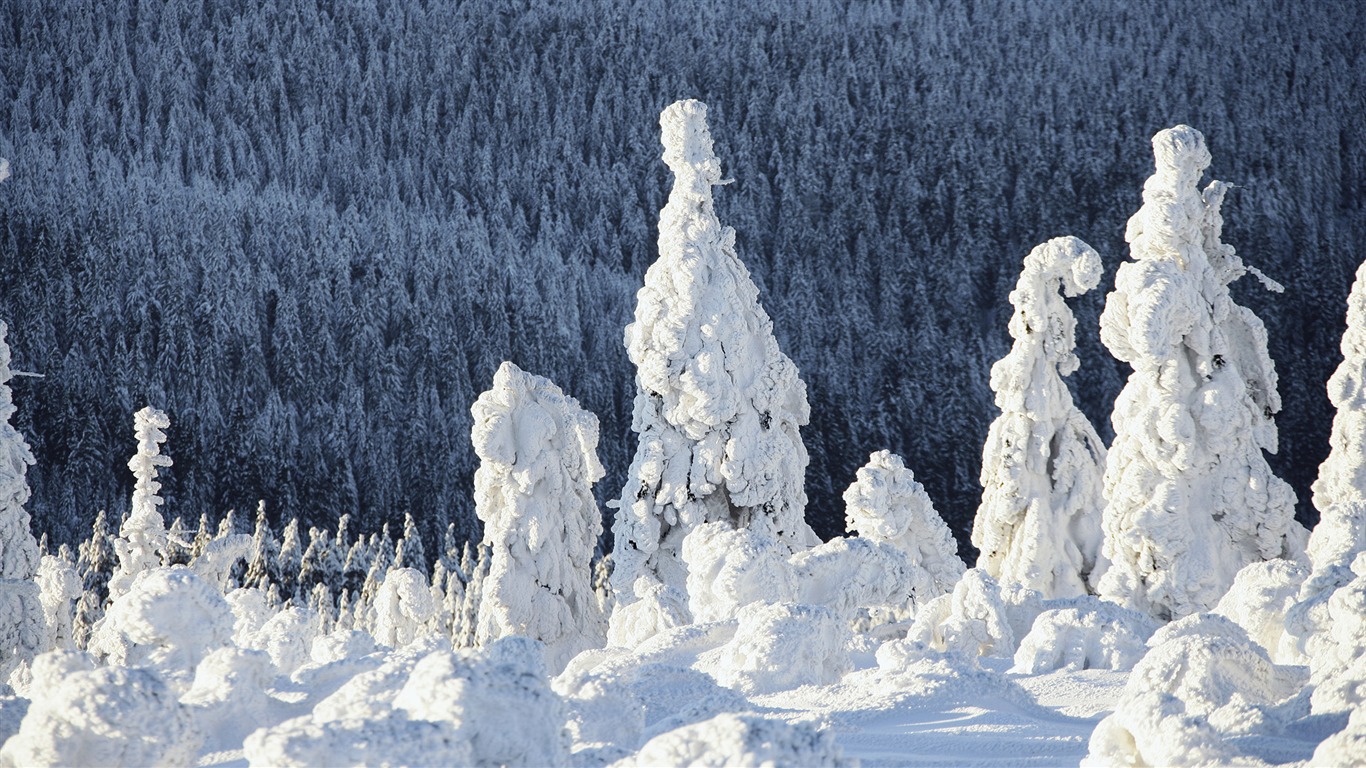 Tapety Krajina Kolekce (62) #3 - 1366x768