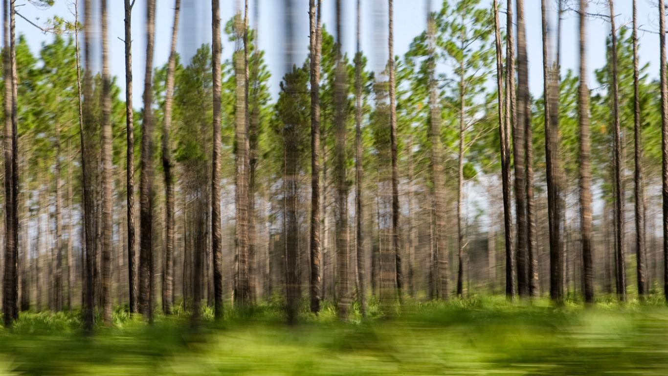 Wallpaper World geographical scenery Posts (7) #5 - 1366x768