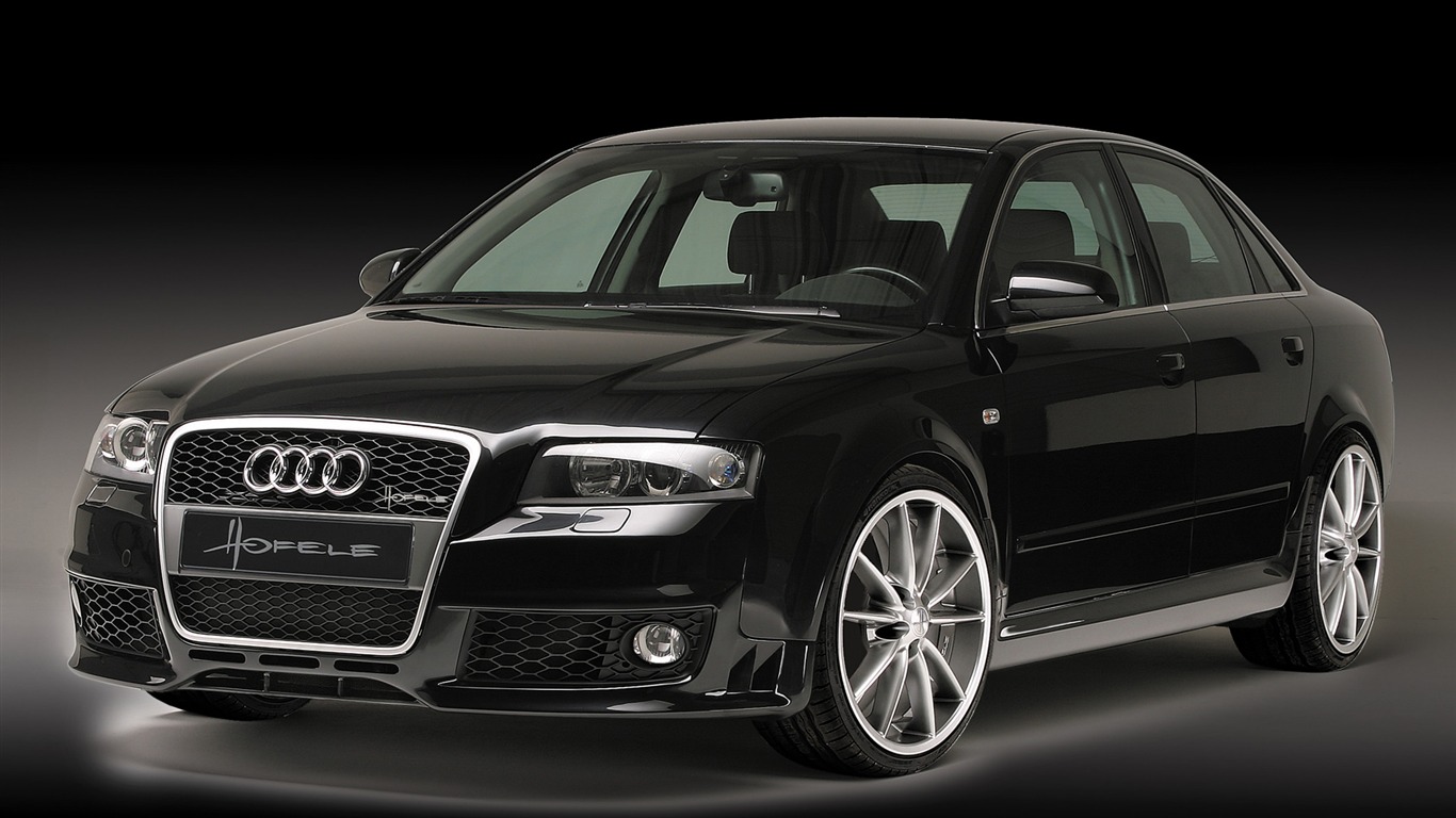 Hofele Audi A4 B6 B7 奥迪12 - 1366x768