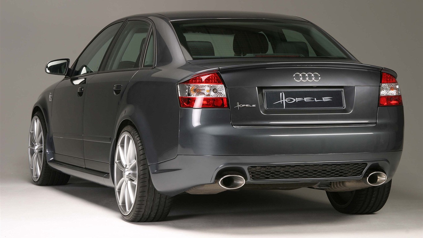 Hofele Audi A4 B6 B7 奥迪14 - 1366x768