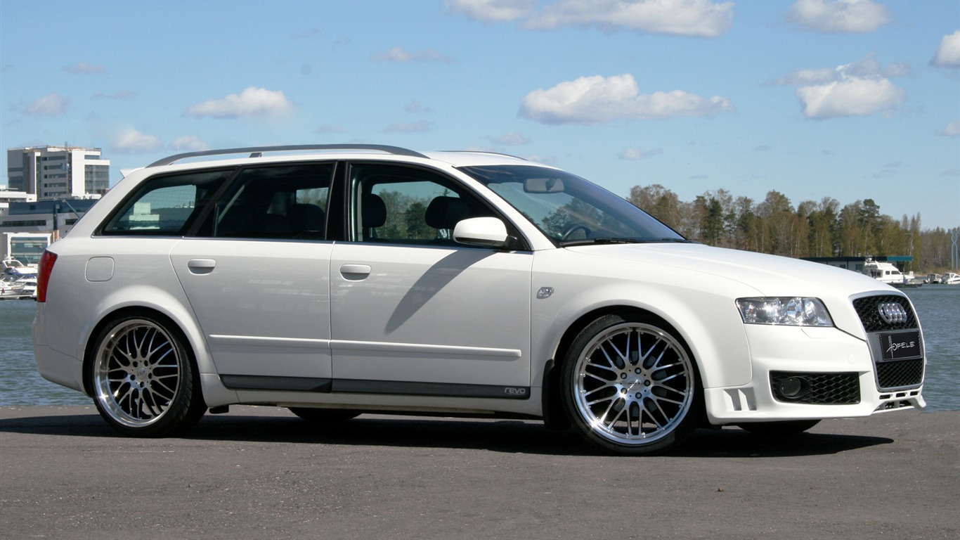 Hofele Audi A4 B6 B7 奥迪16 - 1366x768