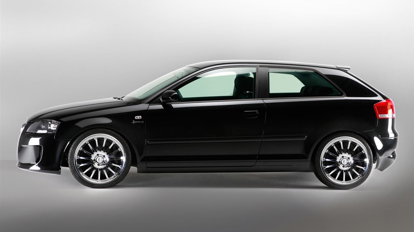 Hofele Audi A3 S3 8PA A4 B6 Cabrio A5 B8 Coupe 奧迪 #8 - 1366x768