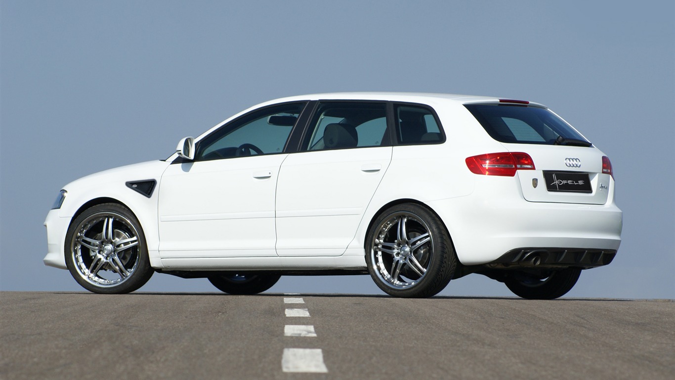 Hofele Audi A3 S3 8PA A4 B6 Cabrio A5 B8 Coupe 奥迪15 - 1366x768