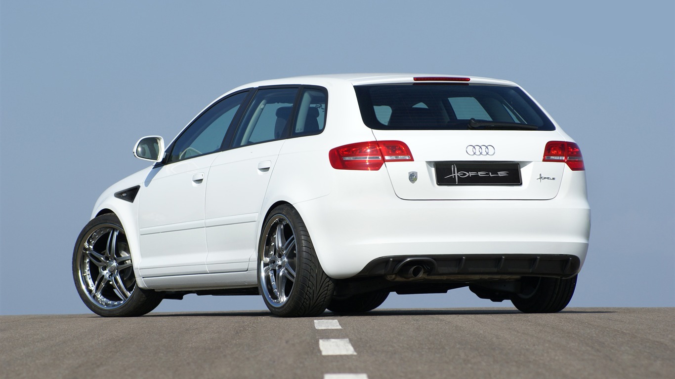 Hofele Audi A3 S3 8PA A4 B6 Cabrio A5 B8 Coupe 奧迪 #16 - 1366x768