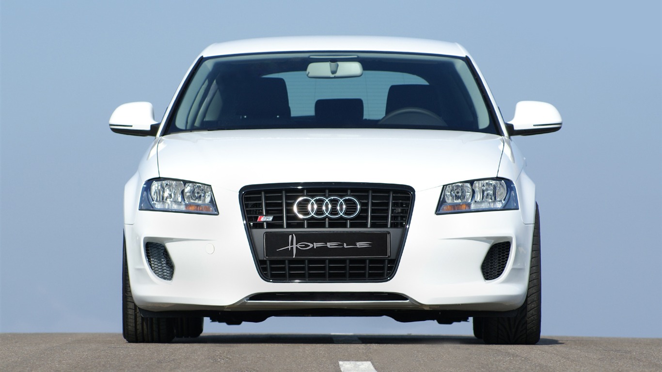 Hofele Audi A3 S3 8PA A4 B6 Cabrio A5 B8 Coupe 奧迪 #17 - 1366x768
