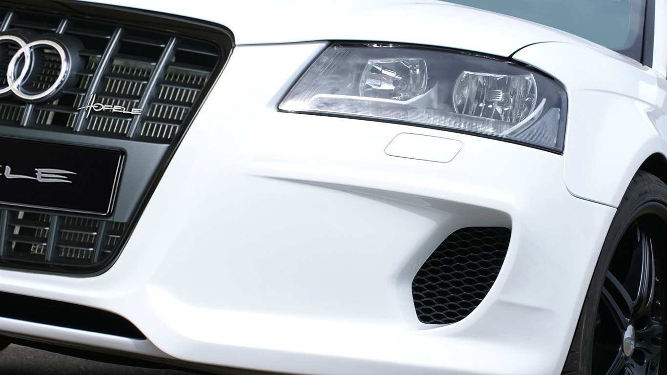 Hofele Audi A3 S3 8PA A4 B6 Cabrio A5 B8 Coupe 奧迪 #19 - 1366x768